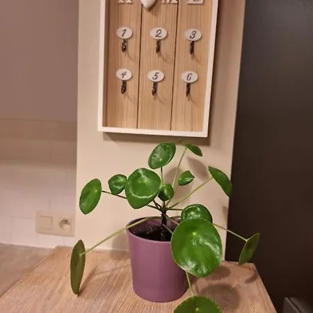 Latfin Prázdninový dům